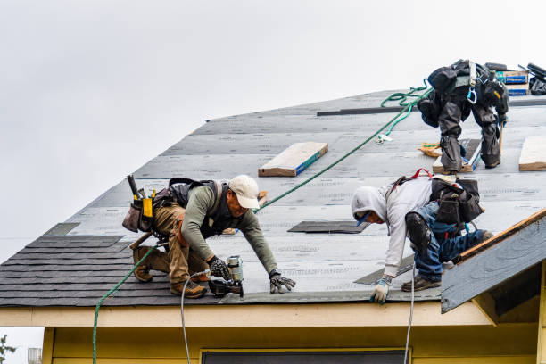 Professional Emergency Roof Repair technician working in Navasota, TX